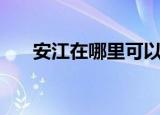 安江在哪里可以消违章（安江在哪里）