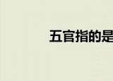 五官指的是什么（五官介绍）