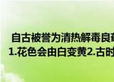  自古被誉为清热解毒良药的忍花草又被称为金银花 是因为？1.花色会由白变黄2.古时候价格很贵