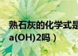 熟石灰的化学式是什么（熟石灰的化学式是Ca(OH)2吗）