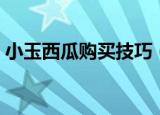 小玉西瓜购买技巧（小玉西瓜如何购买挑选）