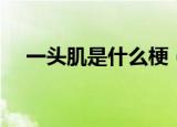 一头肌是什么梗（什么是一头肌的意思）