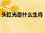 头红光是什么生肖（红光满面打一正确生肖）