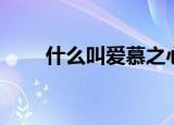 什么叫爱慕之心（爱慕之心的意思）