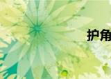 护角条（护角）