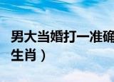 男大当婚打一准确生肖牛（男大当婚打一准确生肖）