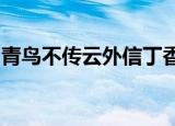 青鸟不传云外信丁香空结雨中愁的意思的意思