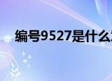 编号9527是什么意思（527是什么意思）