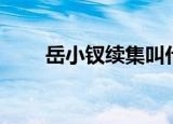 岳小钗续集叫什么（岳小钗电视剧）