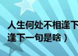 人生何处不相逢下一句是什么（人生何处不相逢下一句是啥）