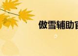 傲雪辅助官网（傲月辅助）