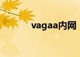 vagaa内网（vagaa搜索限制）