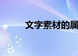 文字素材的属性包括（文字素材）