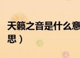 天籁之音是什么意思解释（天籁之音是什么意思）