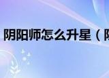 阴阳师怎么升星（阴阳师手游式神怎么升星）