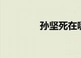 孙坚死在哪儿（孙坚之死）