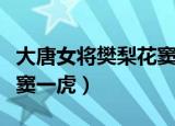 大唐女将樊梨花窦一虎结局（大唐女将樊梨花窦一虎）