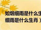 如烟细雨是什么生肖孕妇能吃龙眼吗?（如烟细雨是什么生肖）