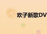 欢子新歌DVD影碟（欢子新歌）