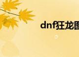 dnf狂龙图腾（狂龙图腾）