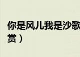 你是风儿我是沙歌词（你是风儿我是沙歌词欣赏）
