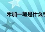 禾加一笔是什么字（禾加两笔是什么字）