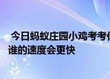  今日蚂蚁庄园小鸡考考你：北极熊和百米赛跑运动员比短跑谁的速度会更快