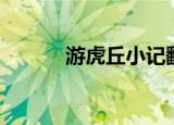 游虎丘小记翻译（虎丘记翻译）