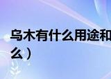 乌木有什么用途和价值（乌木用途和价值是什么）