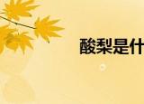 酸梨是什么（何谓酸梨）
