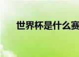 世界杯是什么赛制（来看看比赛规则）