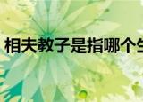 相夫教子是指哪个生肖（相夫教子打一生肖）