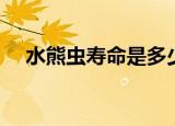 水熊虫寿命是多少年（水熊虫寿命简述）