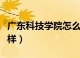 广东科技学院怎么样知乎（广东科技学院怎么样）