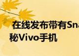  在线发布带有Snapdragon 675芯片组的神秘Vivo手机