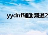 yydnf辅助频道2020（yydnf辅助频道）