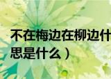 不在梅边在柳边什么意思（不在梅边在柳边意思是什么）