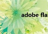 adobe flash player 10.2.0