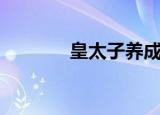 皇太子养成记攻略（皇太子）