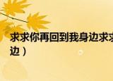 求求你再回到我身边求求你再给我机会（求求你再回到我身边）