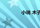 小说 木子（木子美小说）