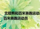  北极熊和百米赛跑运动员比短跑谁的速度会更快1.北极熊2.百米赛跑运动员