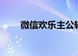 微信欢乐主公辅助器（小公主辅助）