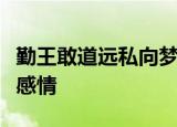 勤王敢道远私向梦中归表达了作者怎样的思想感情