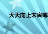 天天向上宋寅哪一期（天天向上 宋寅）