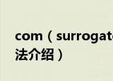 com（surrogate已停止工作怎么办 解决方法介绍）