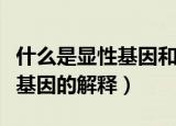 什么是显性基因和隐性基因（显性基因和隐性基因的解释）