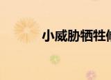 小威胁牺牲修满照片（小威胁）