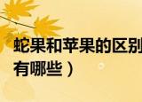 蛇果和苹果的区别是什么（蛇果和苹果的区别有哪些）