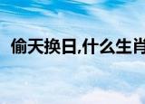 偷天换日,什么生肖（偷天换日指什么生肖）